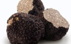 Pourquoi la truffe est un produit addictif